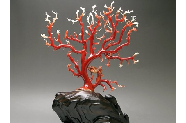 珊瑚・翡翠・玉石の画像